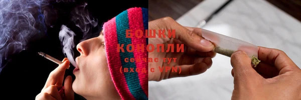 прущие грибы Киреевск