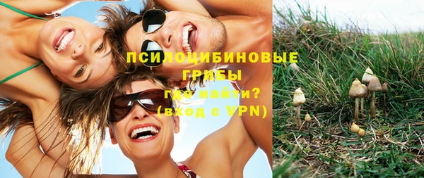 МДПВ Кодинск