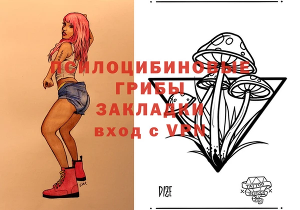 молекула духа Касимов