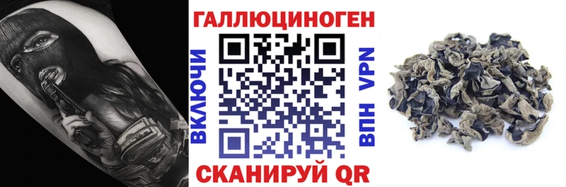 KRAKEN маркетплейс  наркота  Сочи  Галлюциногенные грибы мухоморы 