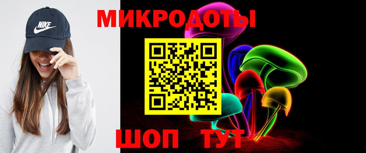 Галлюциногенные грибы Cubensis Сочи